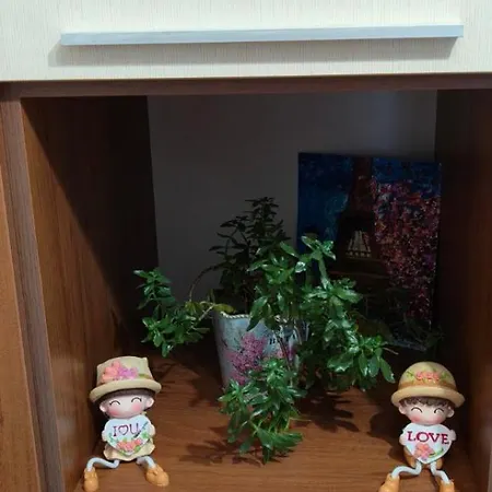 22 Apartment